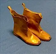 Mehteran Botu